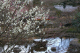 image0014