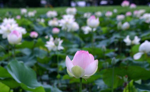 image0002