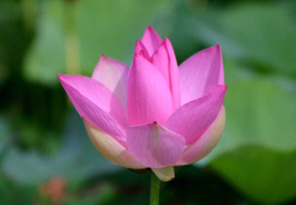 image0005