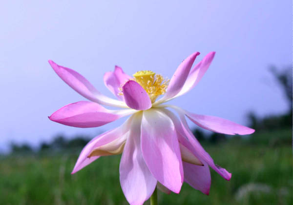 image0007