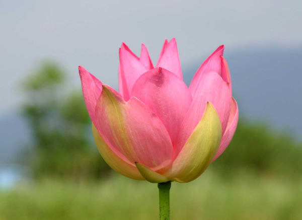 image0009