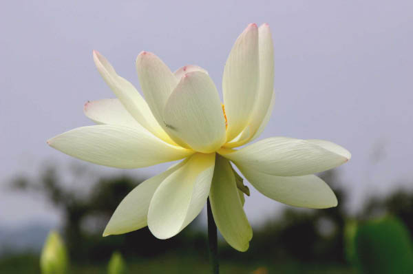 image0013