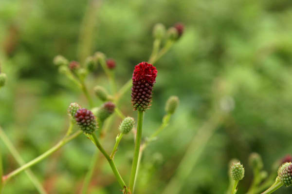 image0001