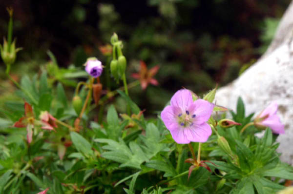 image0002