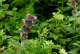 image0000