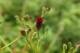 image0001
