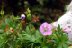 image0002