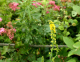 image0004
