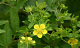 image0005