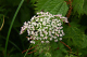 image0007