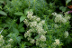 image0008