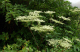 image0010