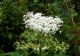 image0011