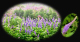 image0012
