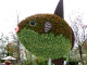 image0000