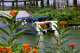 image0004