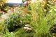 image0004