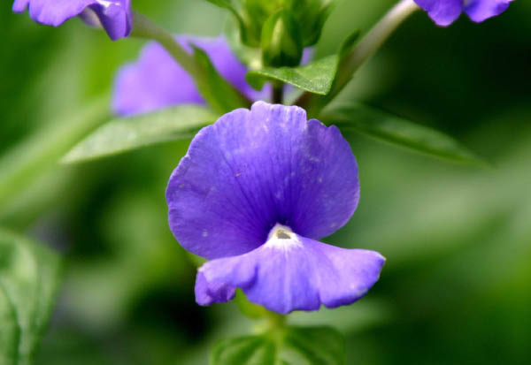 image0003
