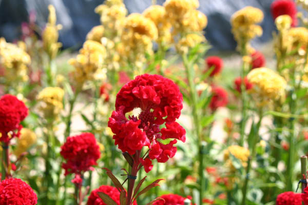 image0010