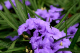 image0000