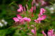 image0001