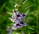 image0002