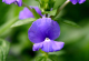 image0003
