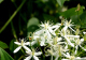 image0005