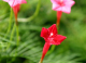 image0006