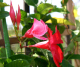 image0008