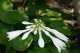 image0011