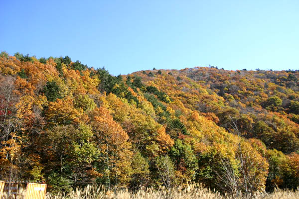 image0002