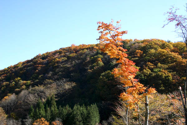 image0004
