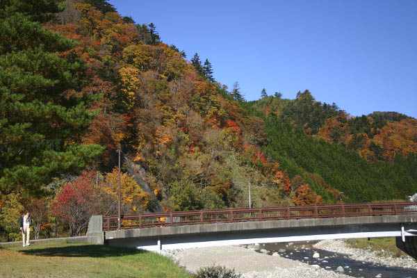 image0006