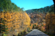 image0000