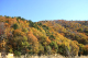 image0002