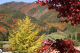 image0003