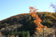 image0004