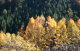 image0005