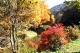 image0007