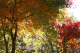 image0008
