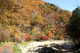 image0009
