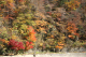 image0010