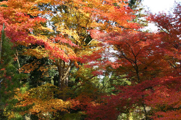 image0000