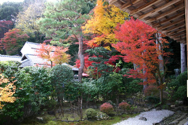 image0001