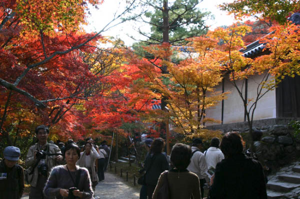 image0004