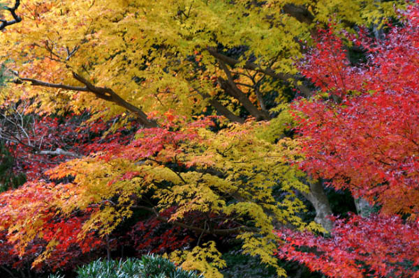 image0006