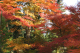 image0000