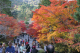 image0002
