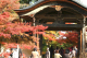 image0003